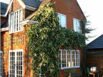 Apartment For Rent in Egham, United Kingdom