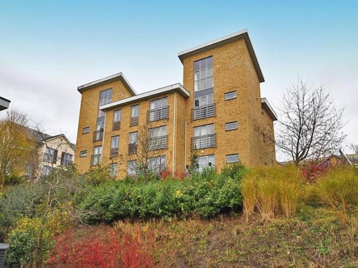 Picture of Apartment For Rent in Maidstone, Kent, United Kingdom