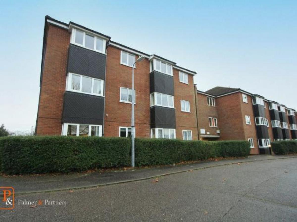 Picture of Apartment For Rent in Colchester, Essex, United Kingdom