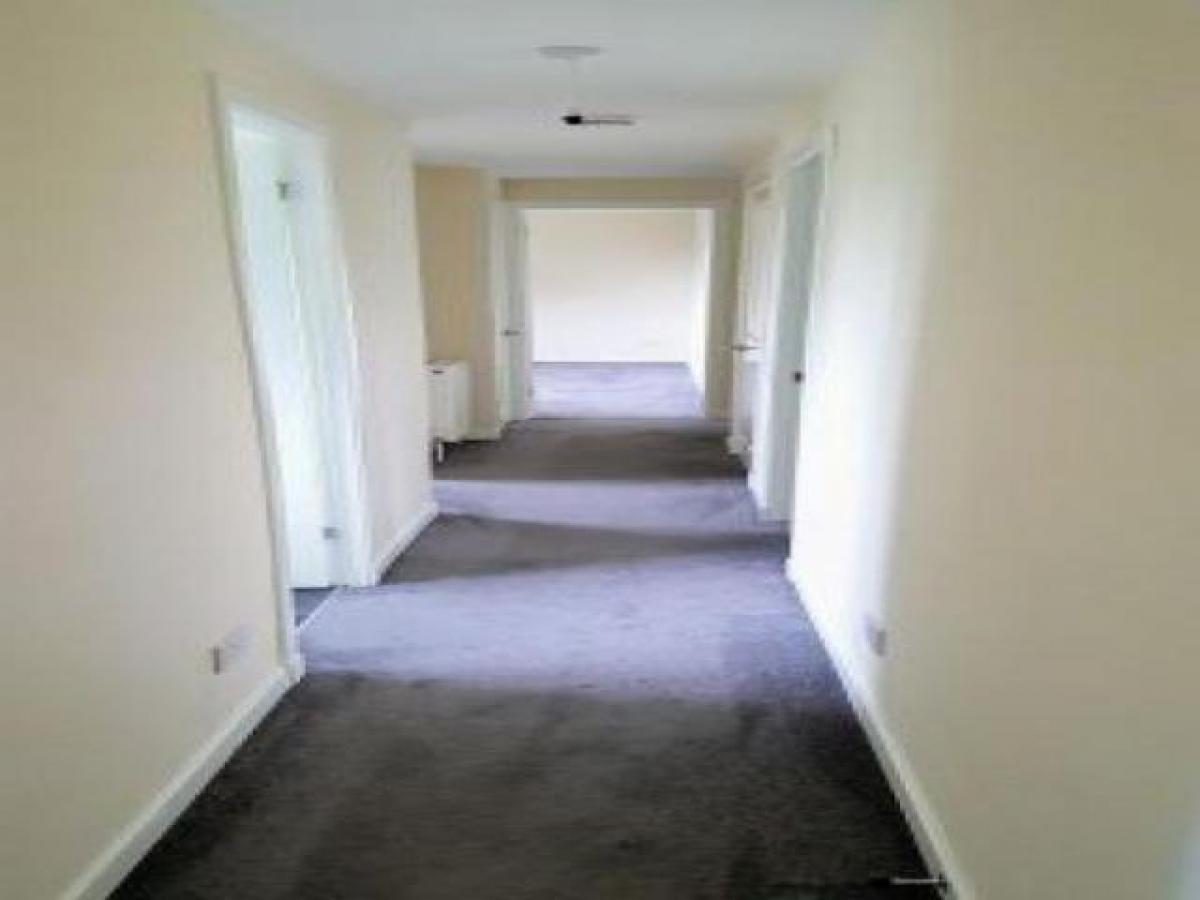 Picture of Apartment For Rent in Penicuik, Lothian, United Kingdom