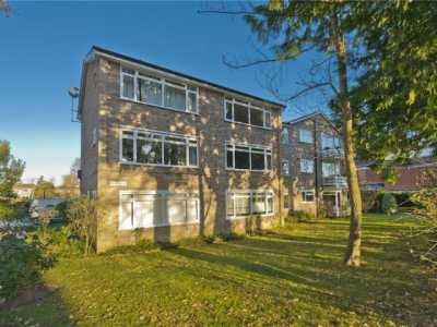 Apartment For Rent in Weybridge, United Kingdom