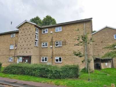 Apartment For Rent in Hatfield, United Kingdom
