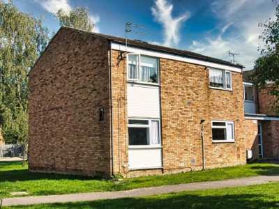 Apartment For Rent in Hatfield, United Kingdom