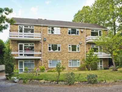 Apartment For Rent in 