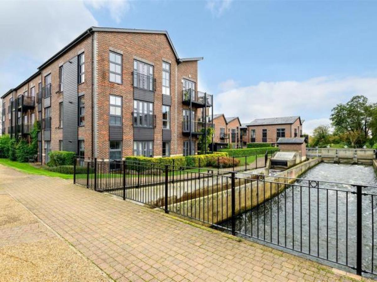 Picture of Apartment For Rent in Woking, Surrey, United Kingdom