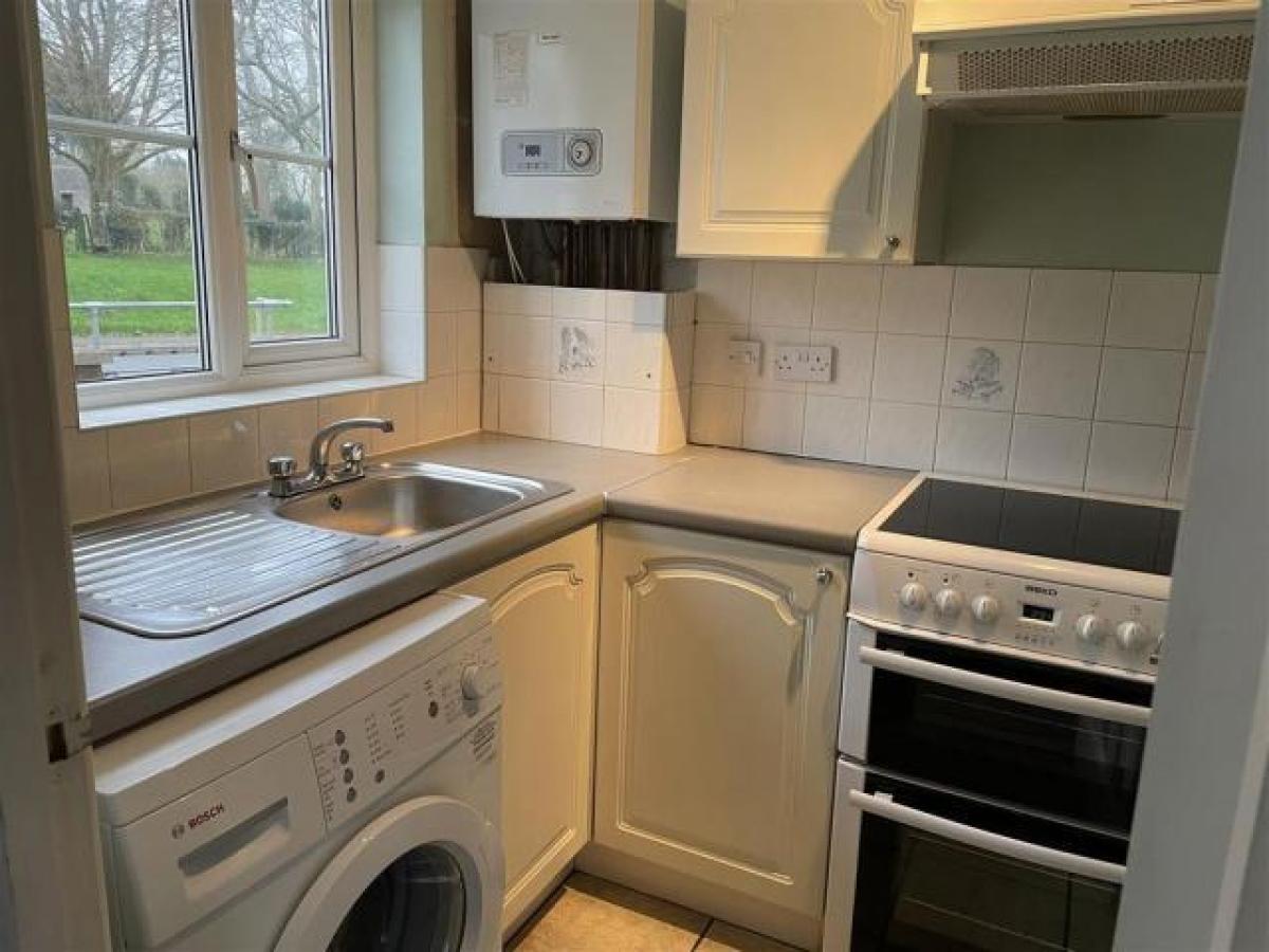 Picture of Home For Rent in Torquay, Devon, United Kingdom
