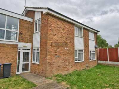 Apartment For Rent in Hatfield, United Kingdom