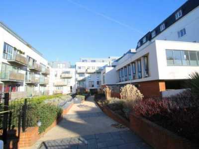 Apartment For Rent in Hove, United Kingdom