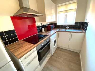 Apartment For Rent in 