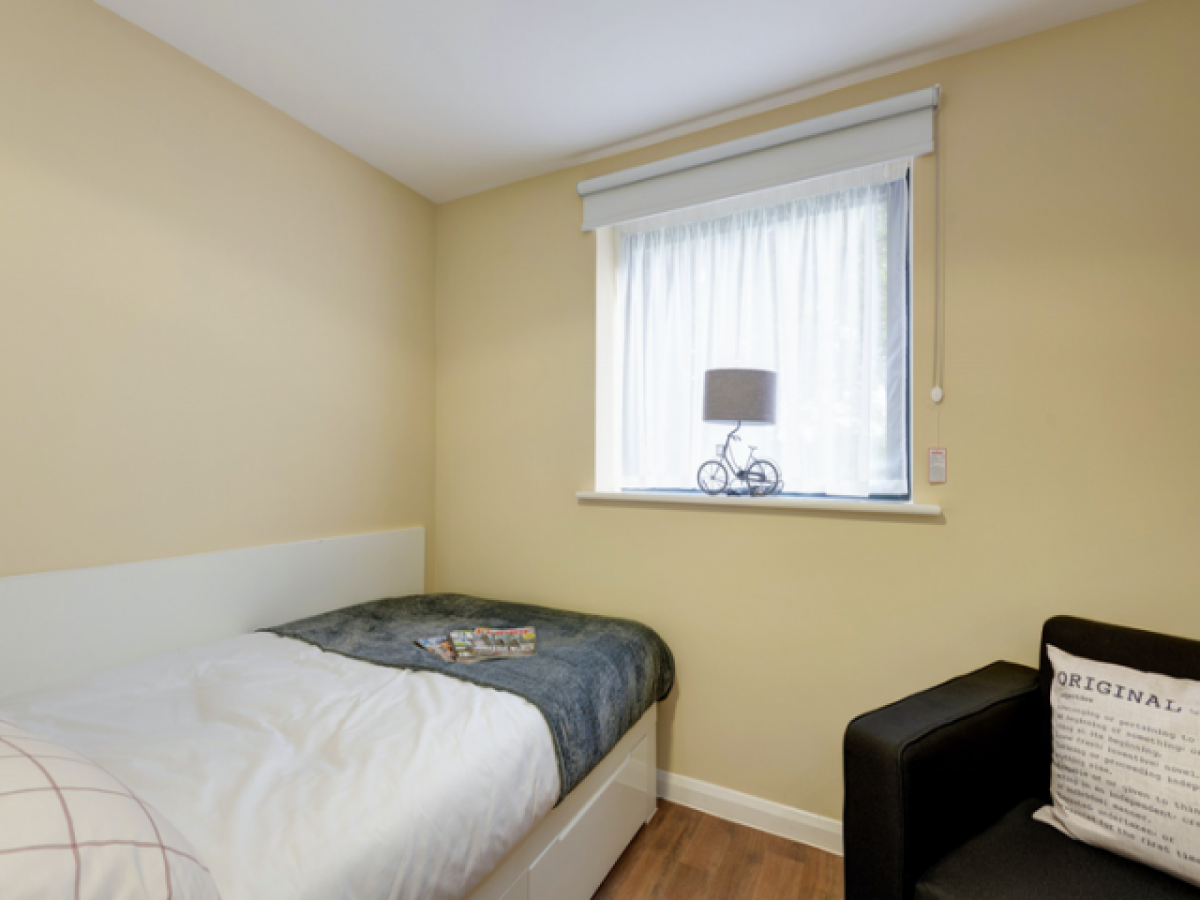 Picture of Apartment For Rent in Bangor, County Down, United Kingdom