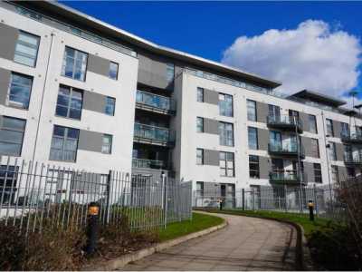 Apartment For Rent in 