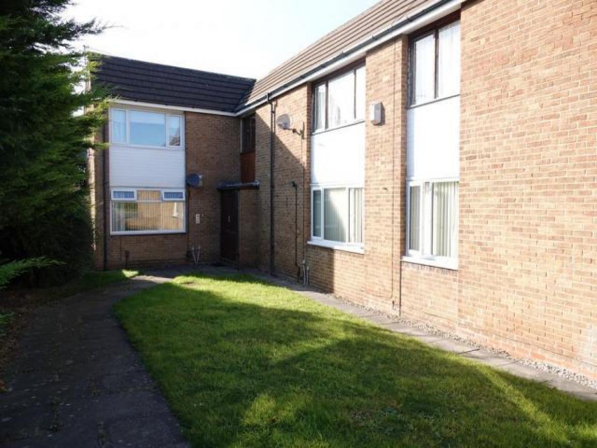 Picture of Apartment For Rent in Middlesbrough, North Yorkshire, United Kingdom