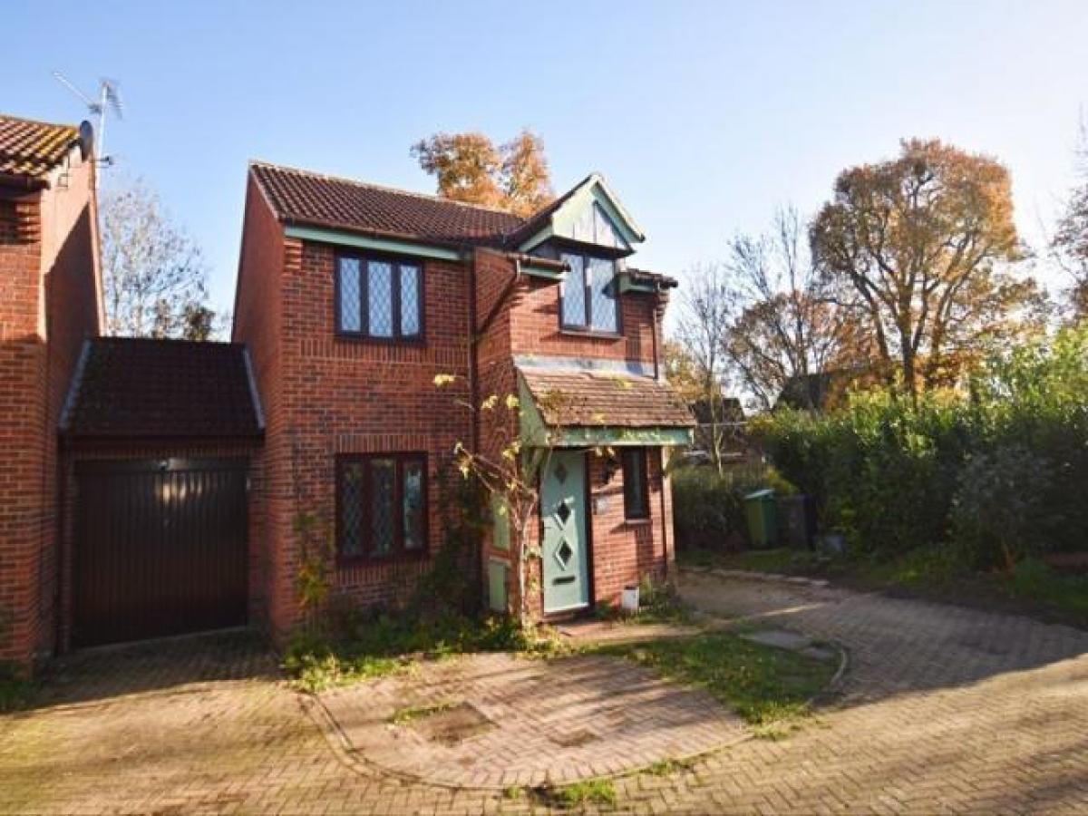 Picture of Home For Rent in Basingstoke, Hampshire, United Kingdom