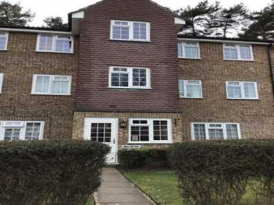 Apartment For Rent in Bracknell, United Kingdom