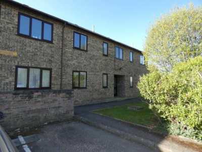 Apartment For Rent in 