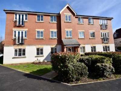 Apartment For Rent in 