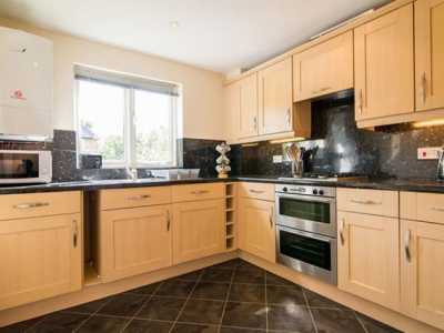 Apartment For Rent in 