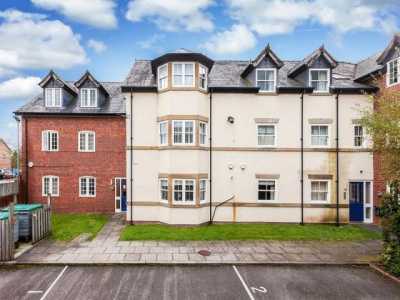 Apartment For Rent in 