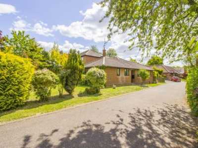 Bungalow For Rent in