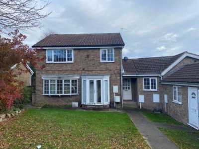 Apartment For Rent in 