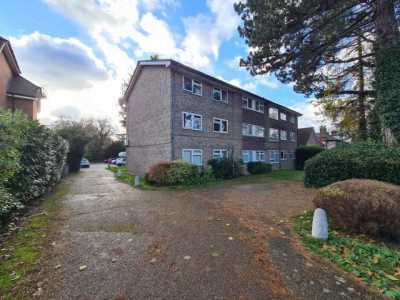 Apartment For Rent in 