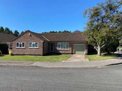 Bungalow For Rent in Taunton, United Kingdom