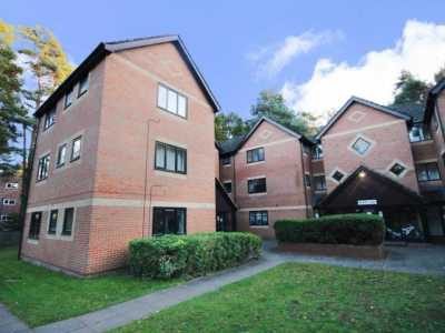Apartment For Rent in Bracknell, United Kingdom