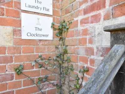 Apartment For Rent in