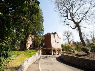 Apartment For Rent in