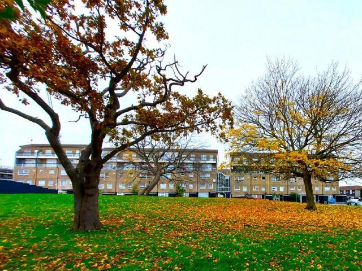 Picture of Apartment For Rent in Barnet, Hertfordshire, United Kingdom