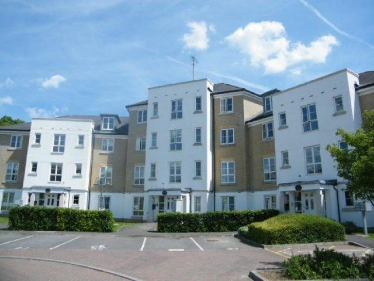 Picture of Apartment For Rent in Woking, Surrey, United Kingdom