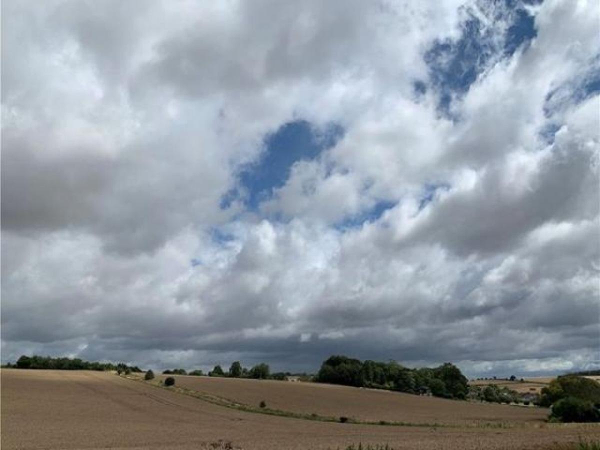 Picture of Industrial For Rent in Blandford Forum, Dorset, United Kingdom