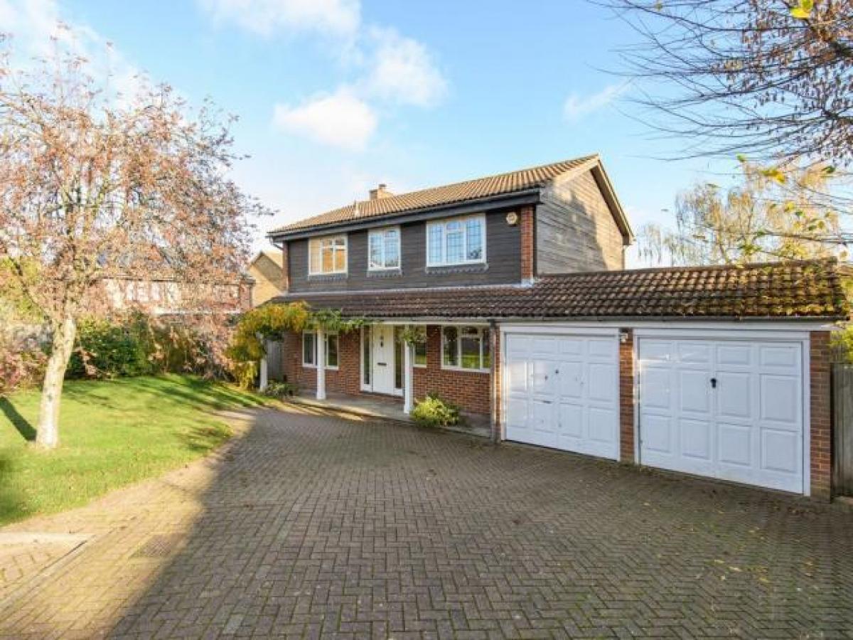 Picture of Home For Rent in Orpington, Kent, United Kingdom