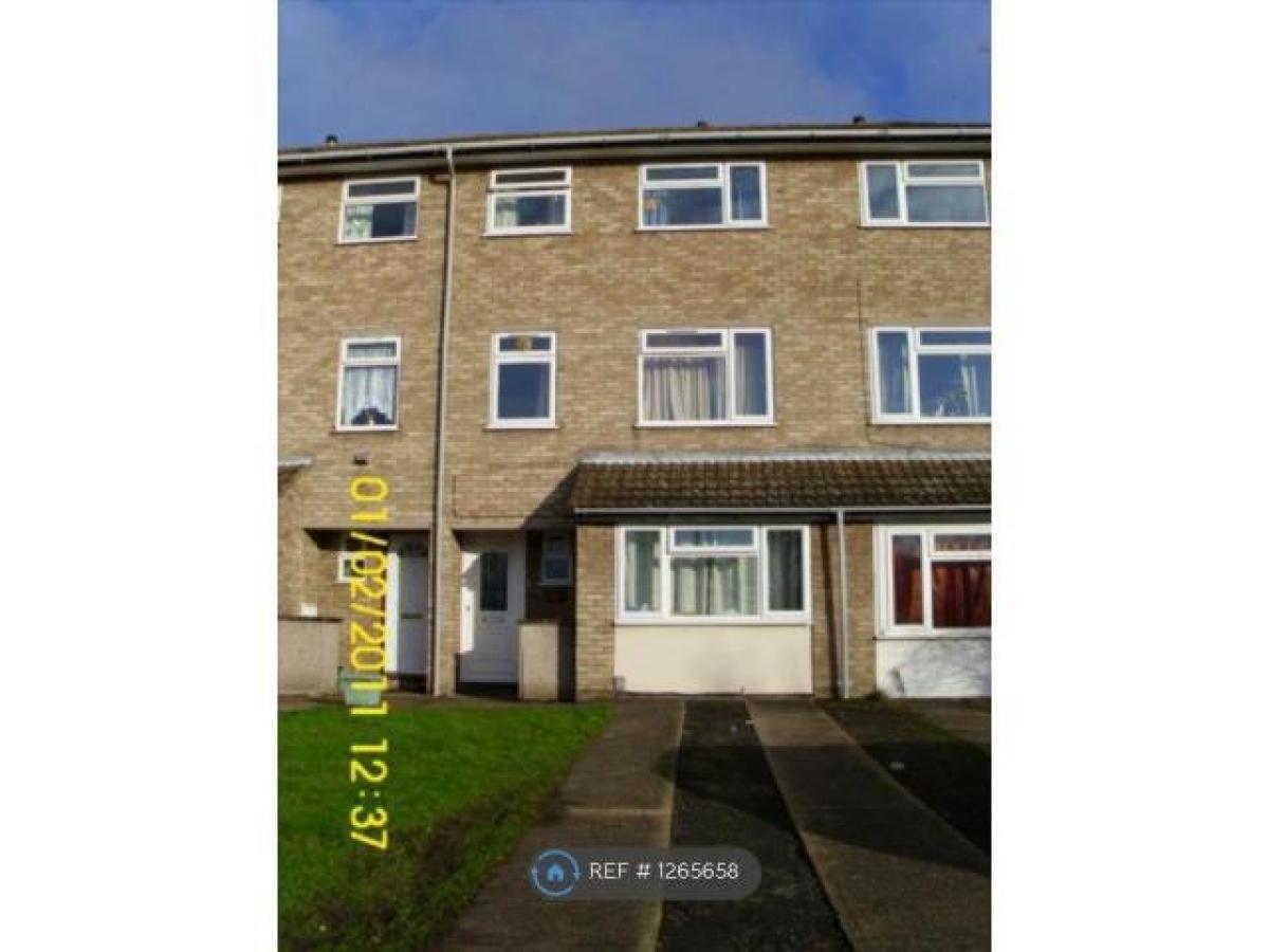 Picture of Apartment For Rent in Colchester, Essex, United Kingdom