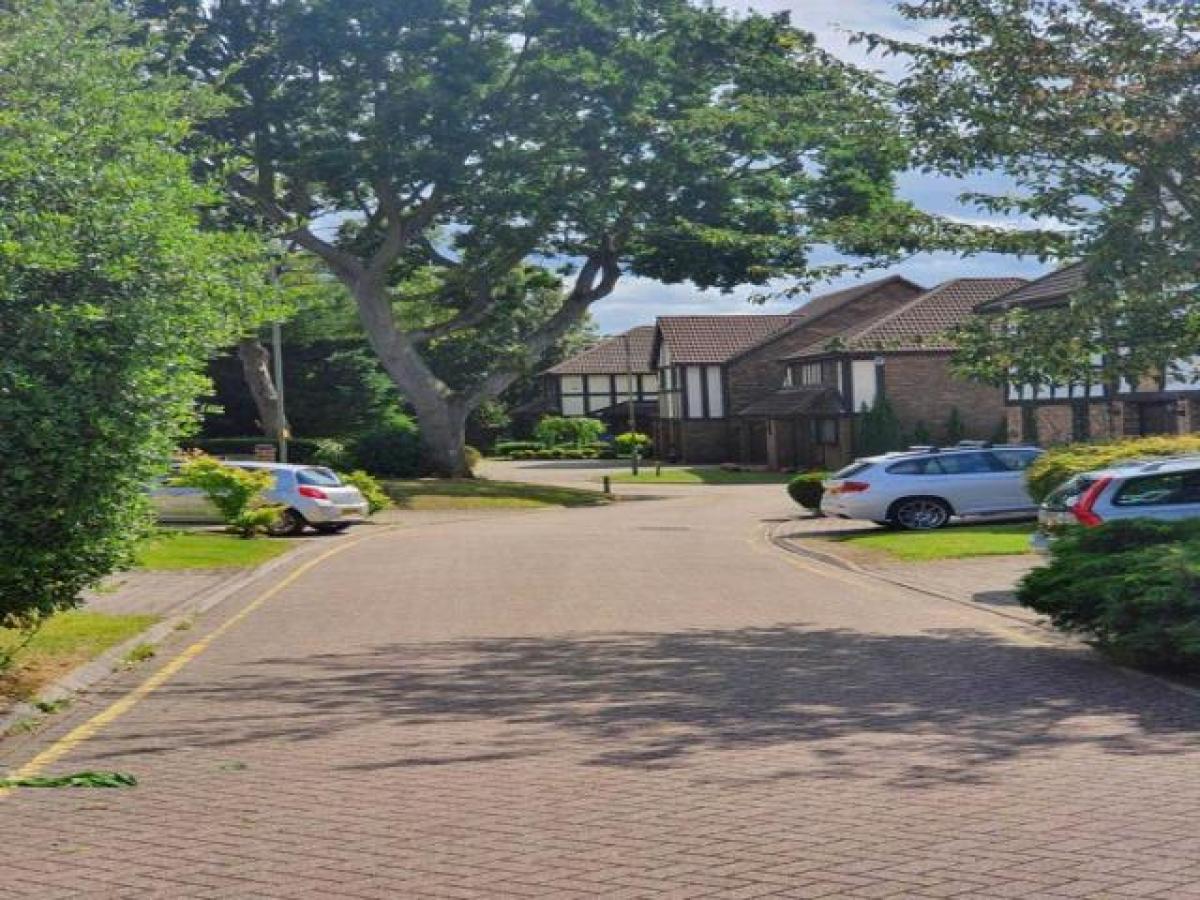 Picture of Home For Rent in Bromley, Greater London, United Kingdom