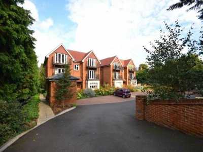 Apartment For Rent in Guildford, United Kingdom
