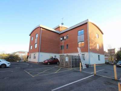 Apartment For Rent in 