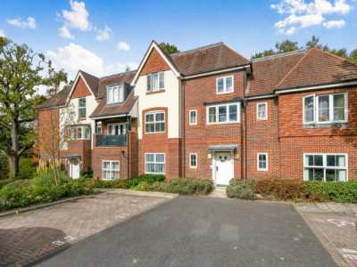 Apartment For Rent in 