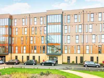 Apartment For Rent in Borehamwood, United Kingdom