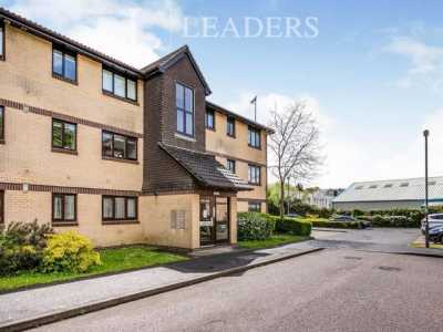 Apartment For Rent in 