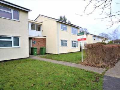 Apartment For Rent in Braintree, United Kingdom