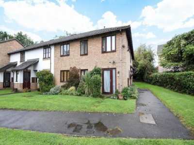 Apartment For Rent in 