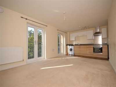 Apartment For Rent in Kettering, United Kingdom