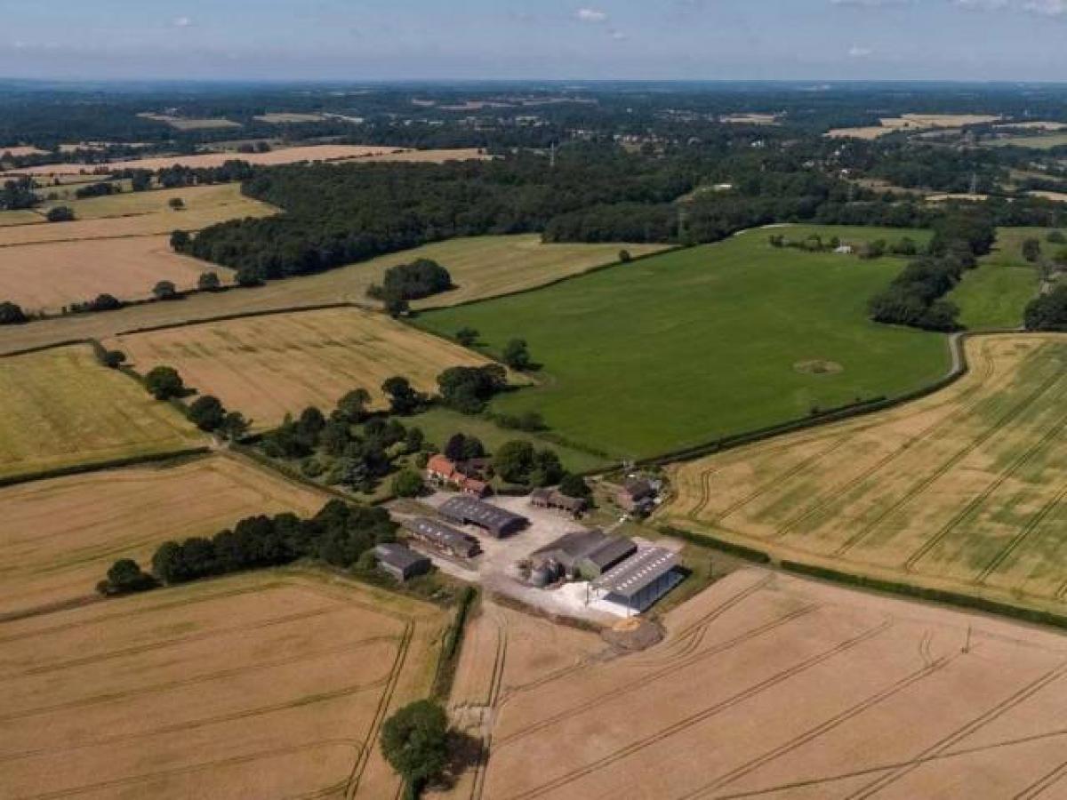 Picture of Home For Rent in Amersham, Buckinghamshire, United Kingdom