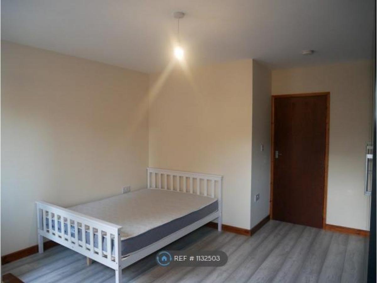 Picture of Apartment For Rent in Leicester, Leicestershire, United Kingdom