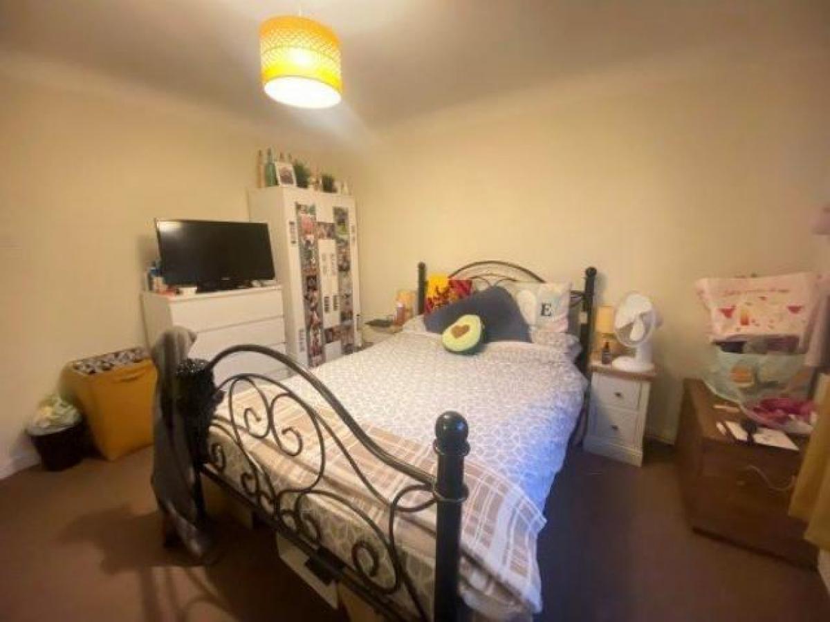 Picture of Apartment For Rent in Southampton, Hampshire, United Kingdom