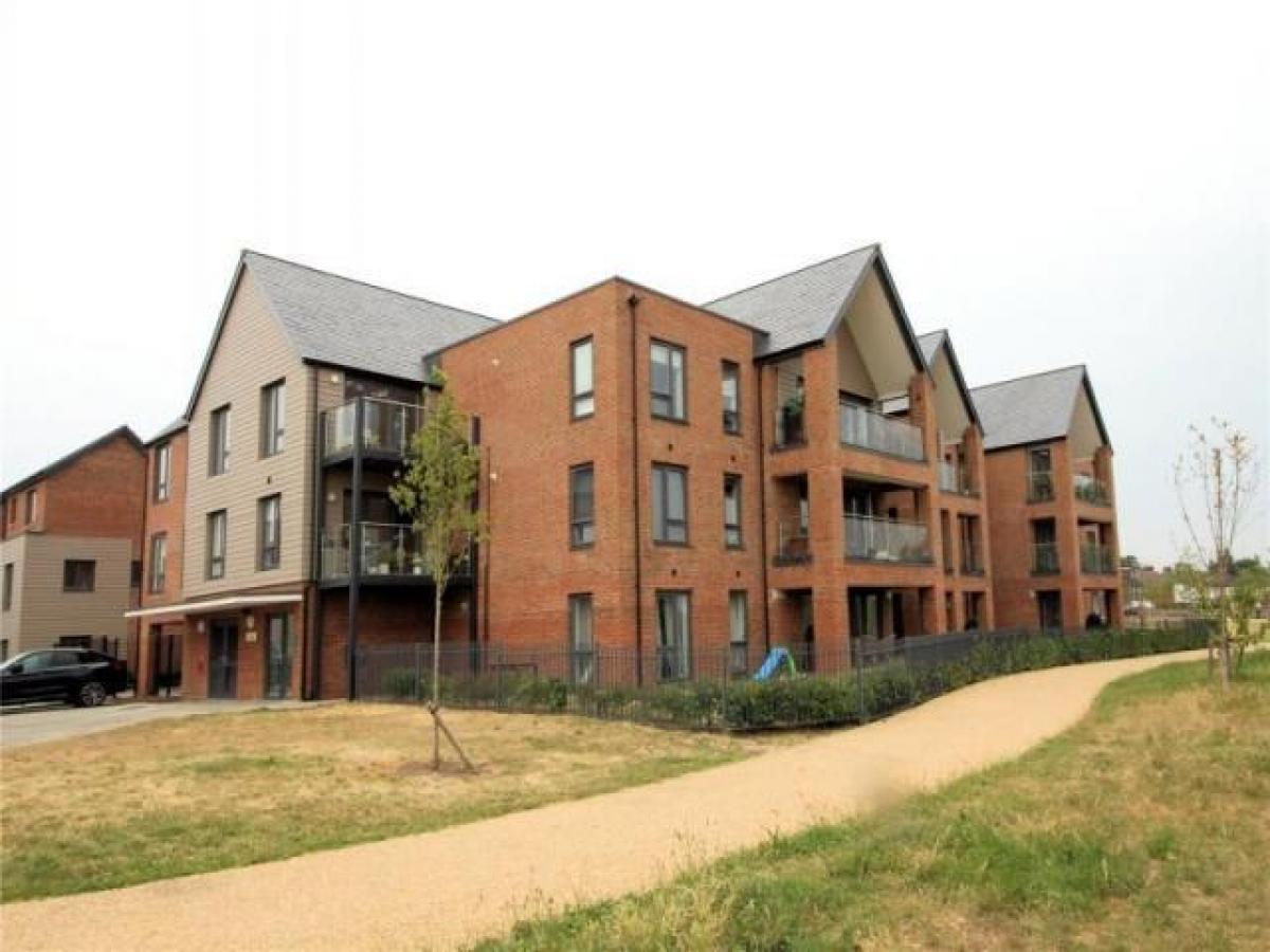 Picture of Apartment For Rent in Woking, Surrey, United Kingdom