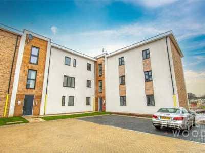 Apartment For Rent in Colchester, United Kingdom