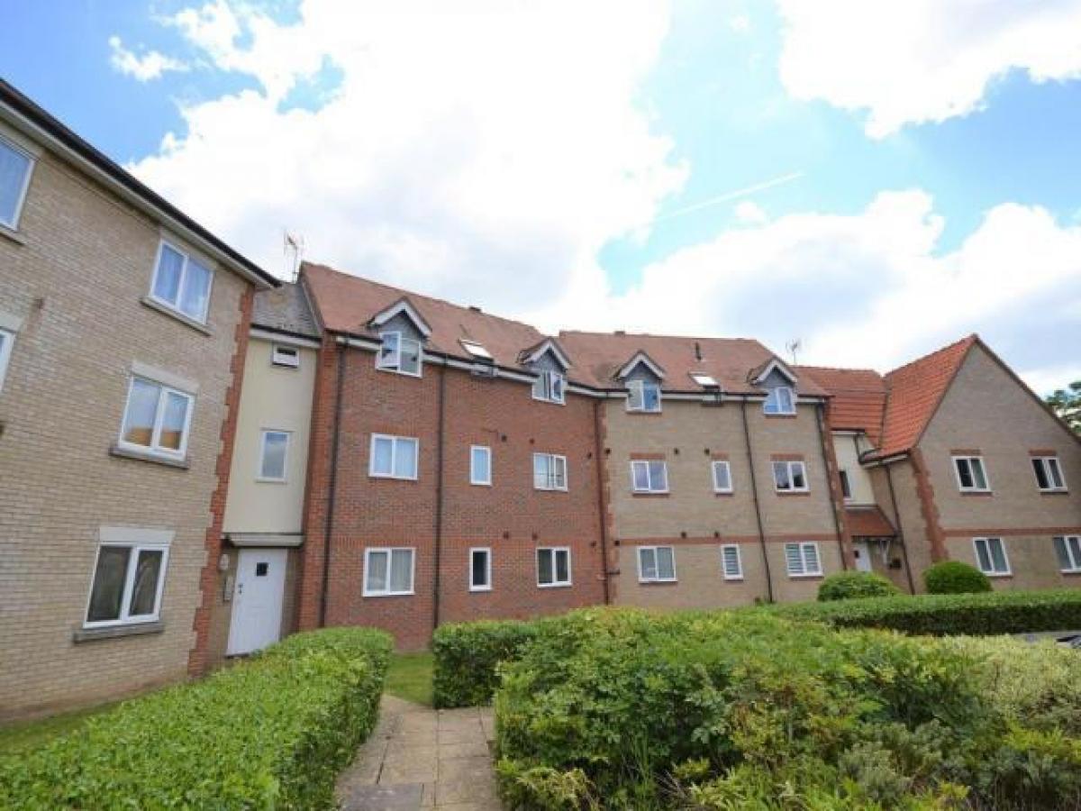 Picture of Apartment For Rent in Colchester, Essex, United Kingdom