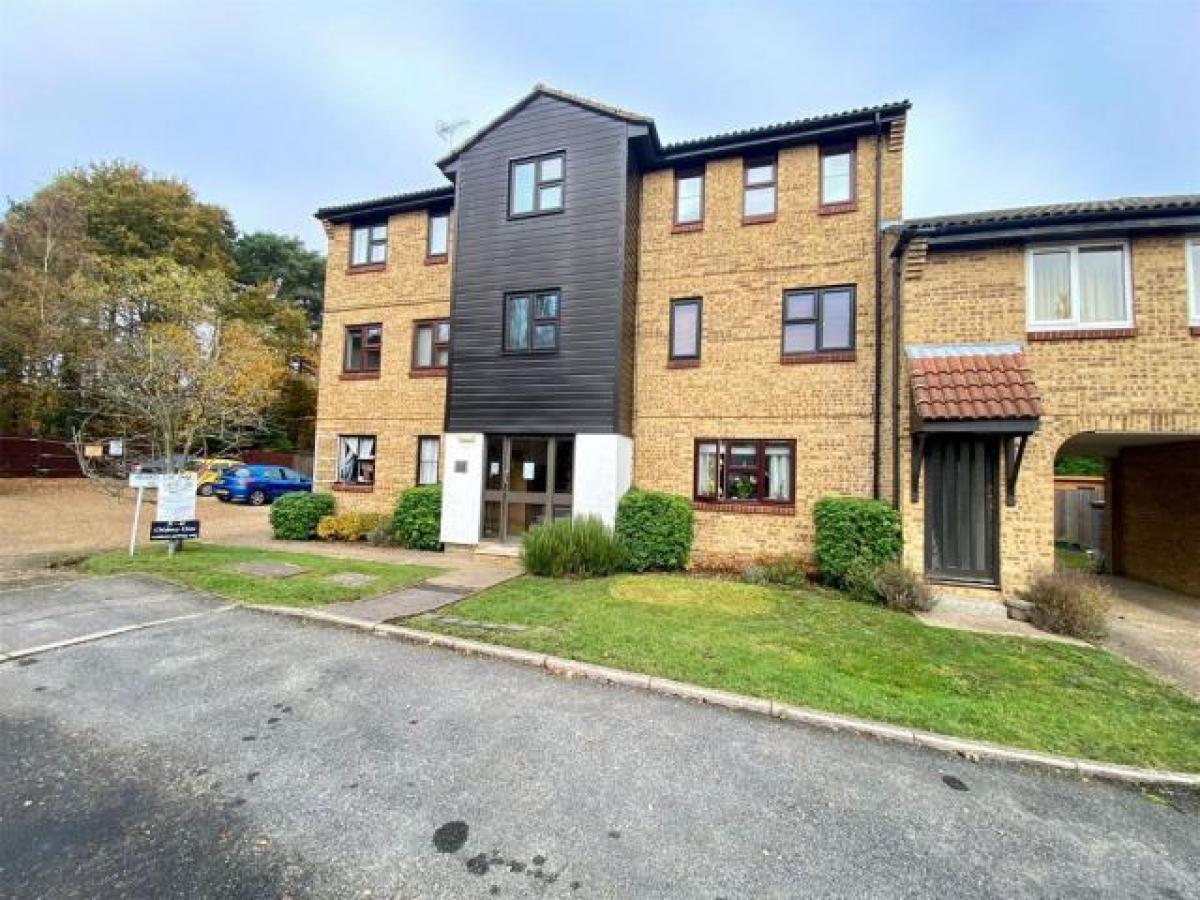Picture of Apartment For Rent in Bracknell, Berkshire, United Kingdom